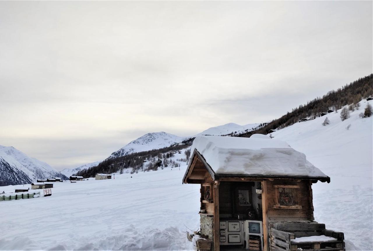 Mountain Chalet Milly Livigno Dış mekan fotoğraf