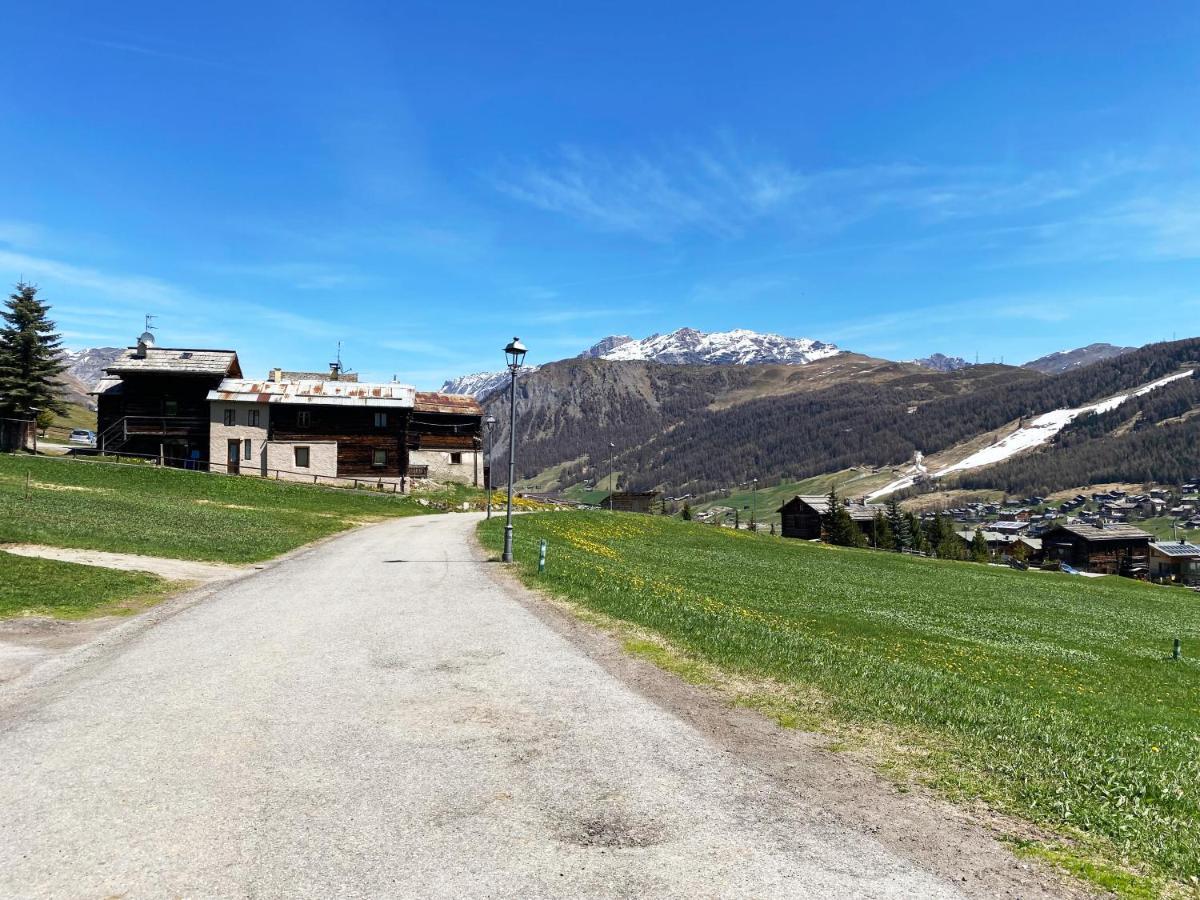 Mountain Chalet Milly Livigno Dış mekan fotoğraf