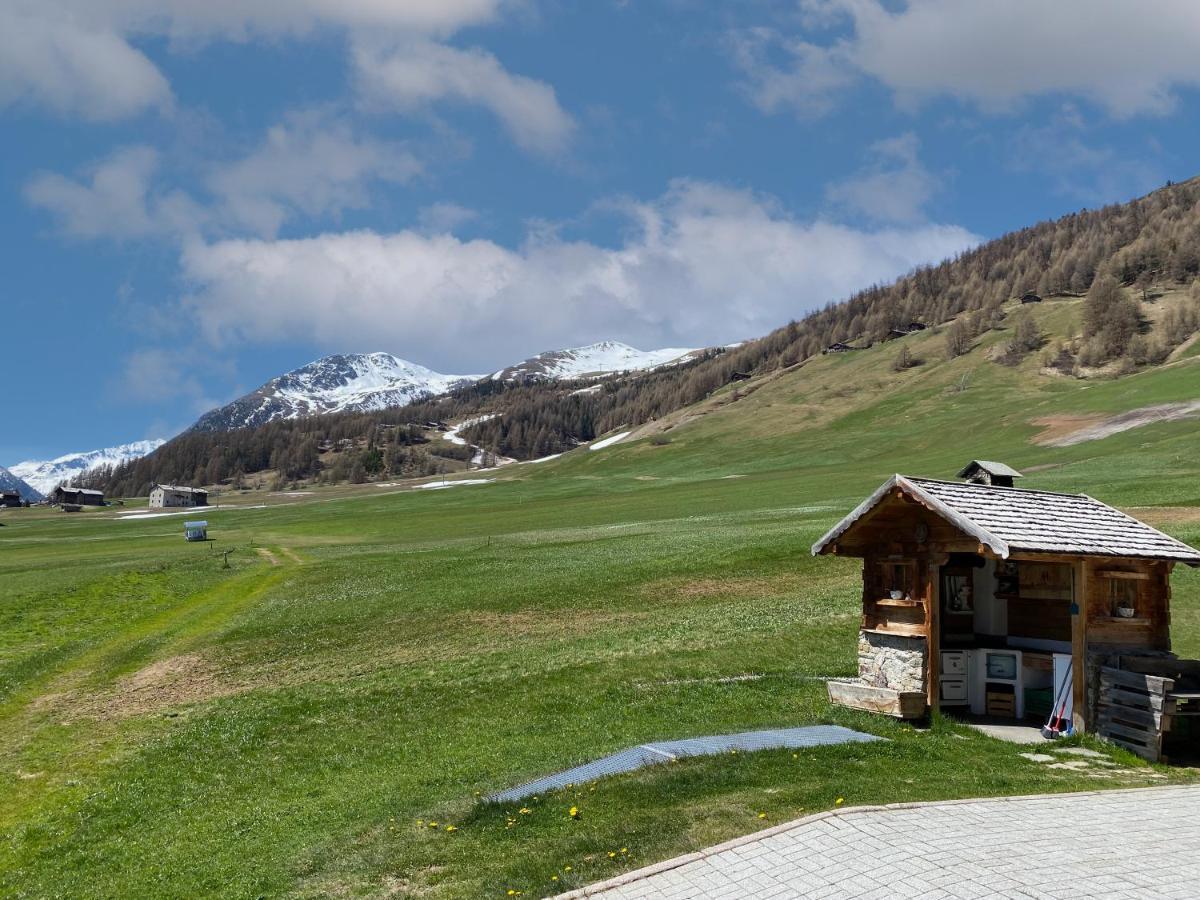 Mountain Chalet Milly Livigno Dış mekan fotoğraf