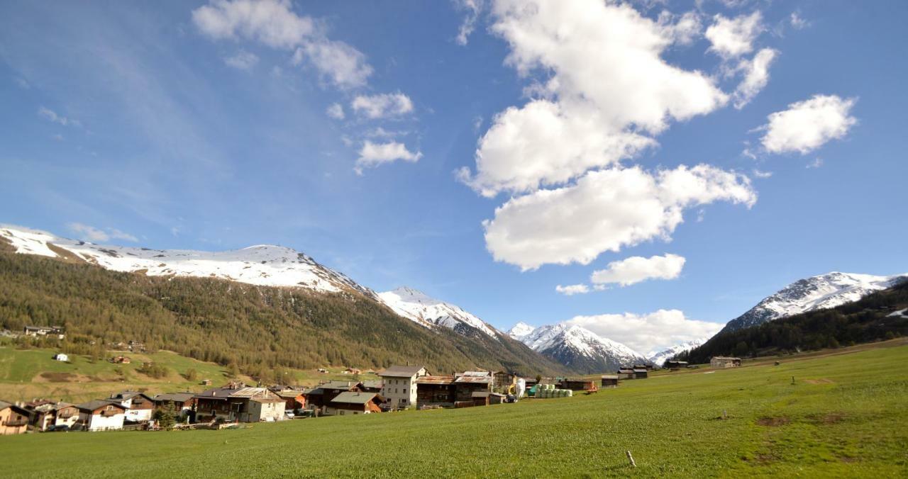 Mountain Chalet Milly Livigno Dış mekan fotoğraf